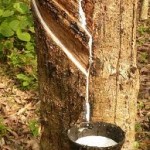 natural rubber adhesive from thetapeworks.com