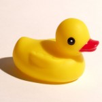 rubber duck